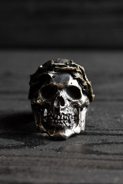 画像をギャラリービューアに読み込む, VANITAS / Ring / VR-006 *