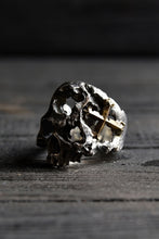 画像をギャラリービューアに読み込む, VANITAS / Ring / VR-015 *