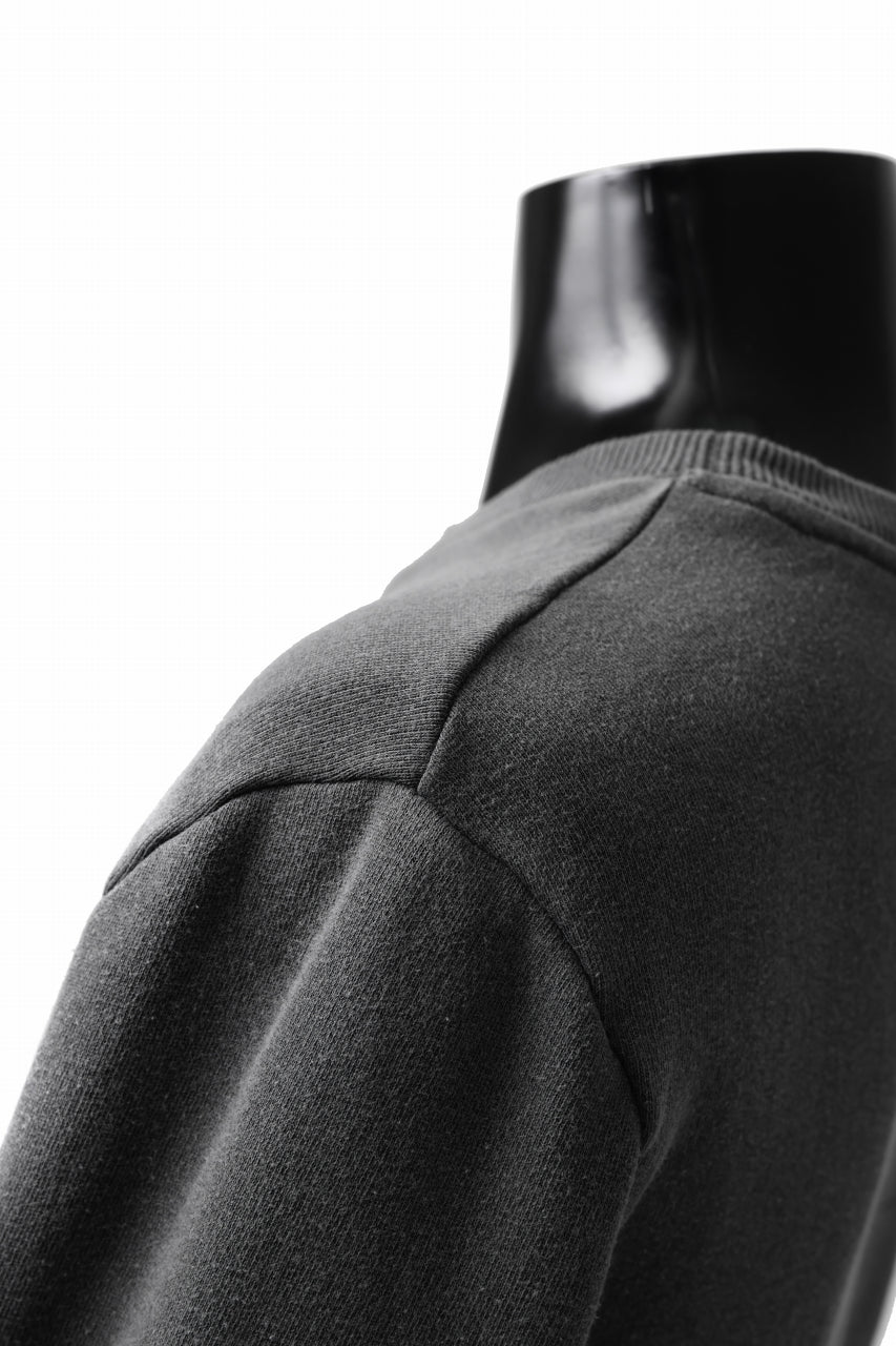 Load image into Gallery viewer, daub DYEING SWEAT PULLOVER / F.TERRY (GREY)