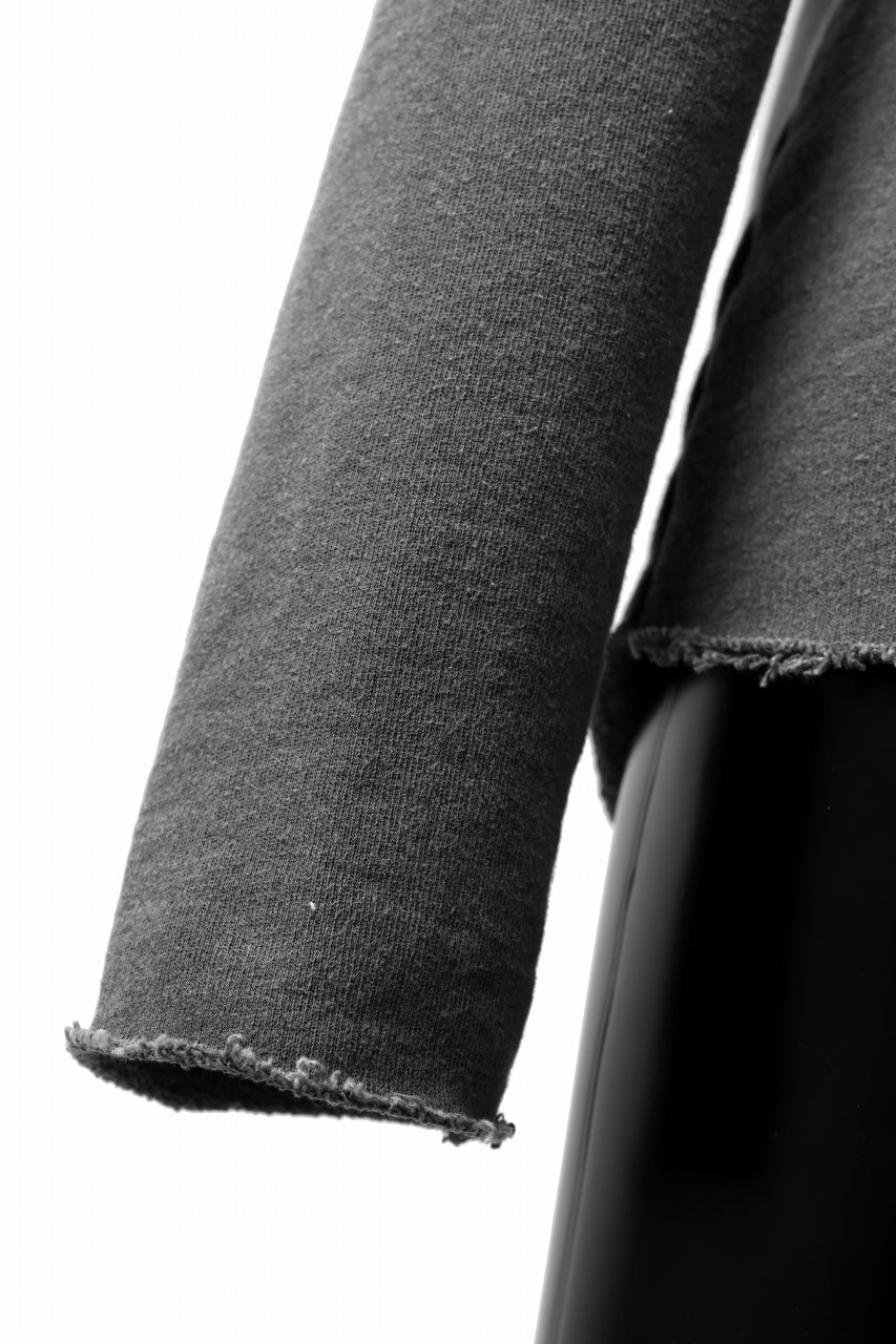 Load image into Gallery viewer, daub DYEING SWEAT PULLOVER / F.TERRY (GREY)