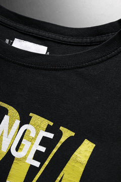 画像をギャラリービューアに読み込む, CHANGES VINTAGE REMAKE MULTI PANEL S/S TEE (BLACK #E)