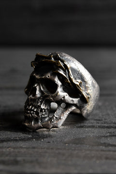 画像をギャラリービューアに読み込む, VANITAS / Ring / VR-006 *