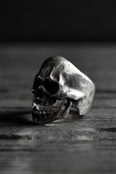 画像をギャラリービューアに読み込む, VANITAS / Ring / VR-001 *