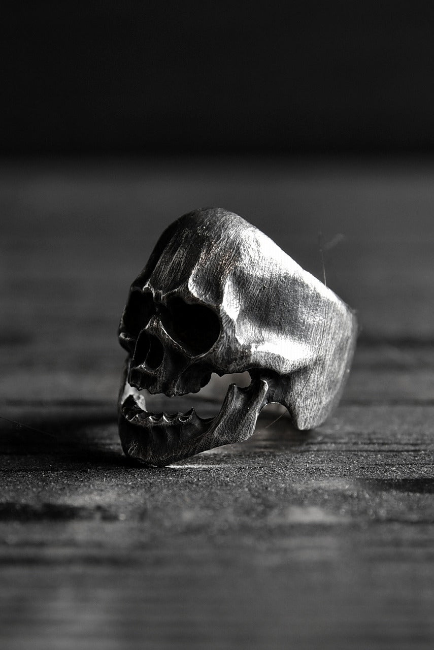 画像をギャラリービューアに読み込む, VANITAS / Ring / VR-001 *
