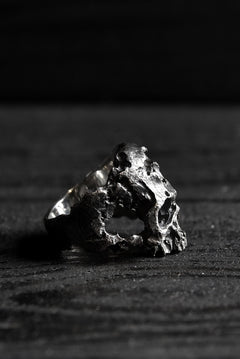 画像をギャラリービューアに読み込む, VANITAS / Ring / VR-015 *