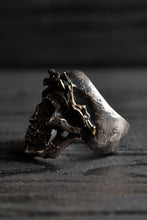 画像をギャラリービューアに読み込む, VANITAS / Ring / VR-006 *