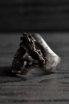 画像をギャラリービューアに読み込む, VANITAS / Ring / VR-006 *