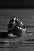 画像をギャラリービューアに読み込む, VANITAS / Ring / VR-001 *