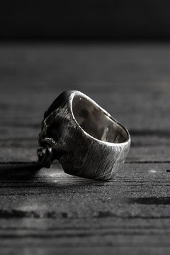 画像をギャラリービューアに読み込む, VANITAS / Ring / VR-001 *