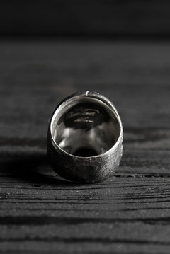 画像をギャラリービューアに読み込む, VANITAS / Ring / VR-007 *