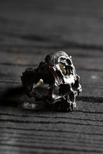 画像をギャラリービューアに読み込む, VANITAS / Ring / VR-015 *