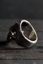 画像をギャラリービューアに読み込む, VANITAS / Ring / VR-016 *