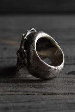 画像をギャラリービューアに読み込む, VANITAS / Ring / VR-006 *