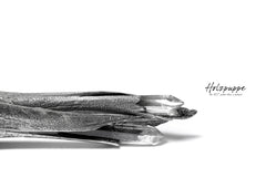 Load image into Gallery viewer, Holzpuppe exclusive Femur Bone Pendants with Green Tourmalinated Quartz