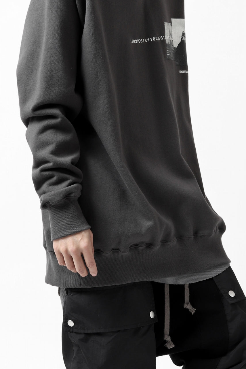 画像をギャラリービューアに読み込む, A.F ARTEFACT "CHEST" SWEATER HOODIE (GREY)