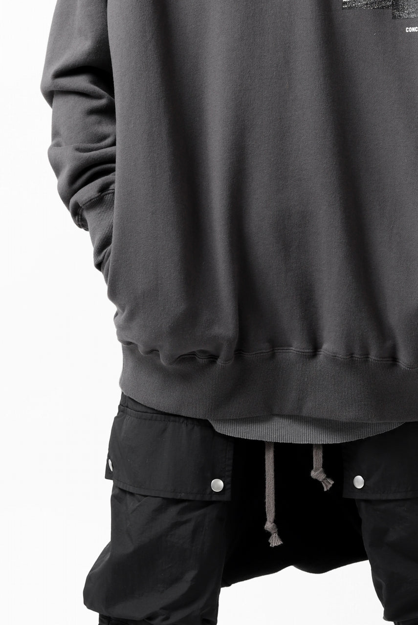 画像をギャラリービューアに読み込む, A.F ARTEFACT "CHEST" SWEATER HOODIE (GREY)