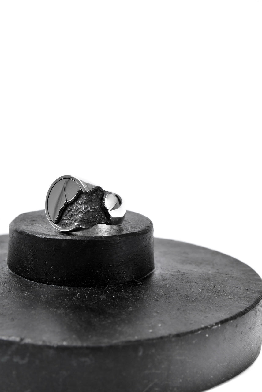 画像をギャラリービューアに読み込む, Node by KUDO SHUJI R-76 RING