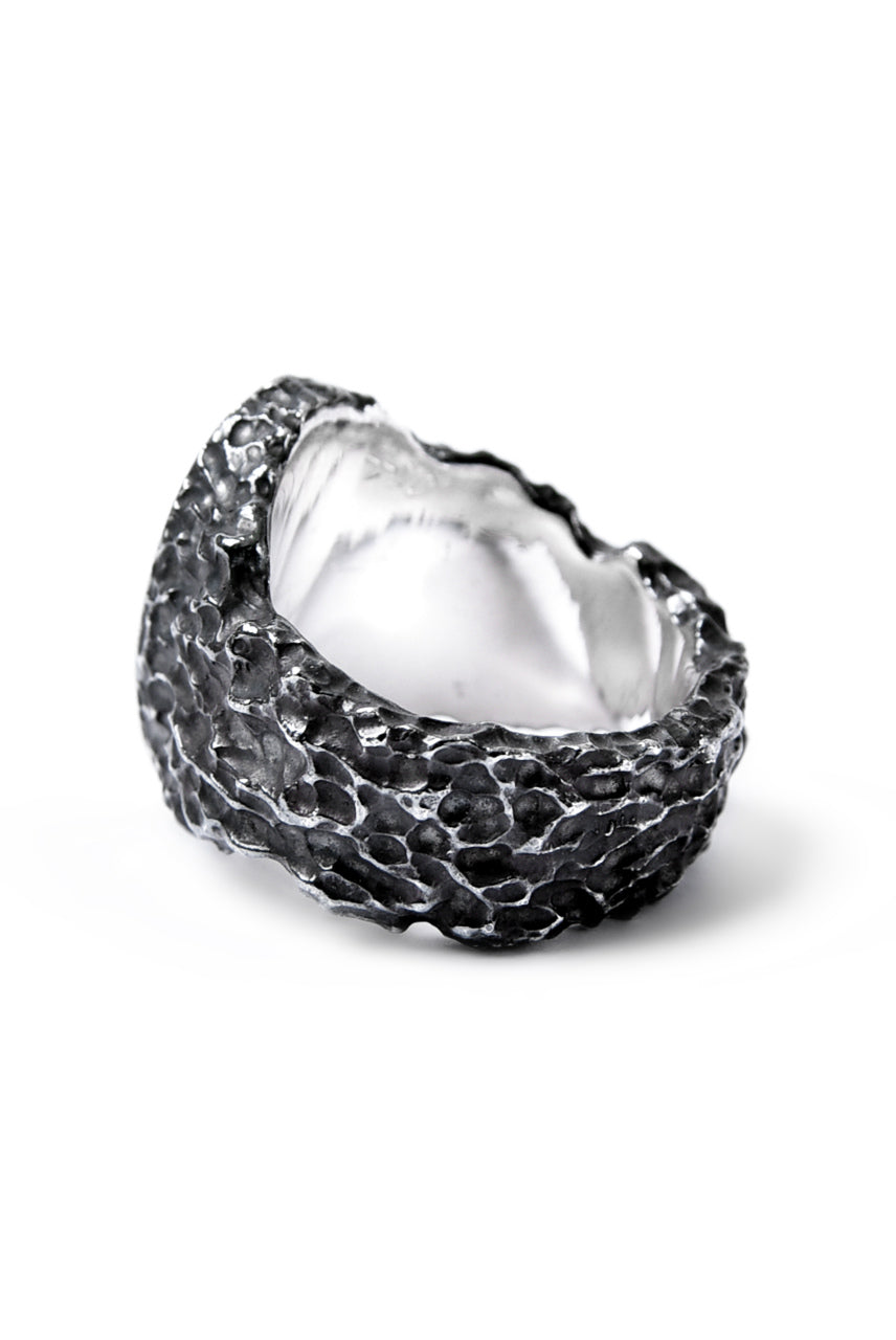 画像をギャラリービューアに読み込む, Node by KUDO SHUJI R-79 RING