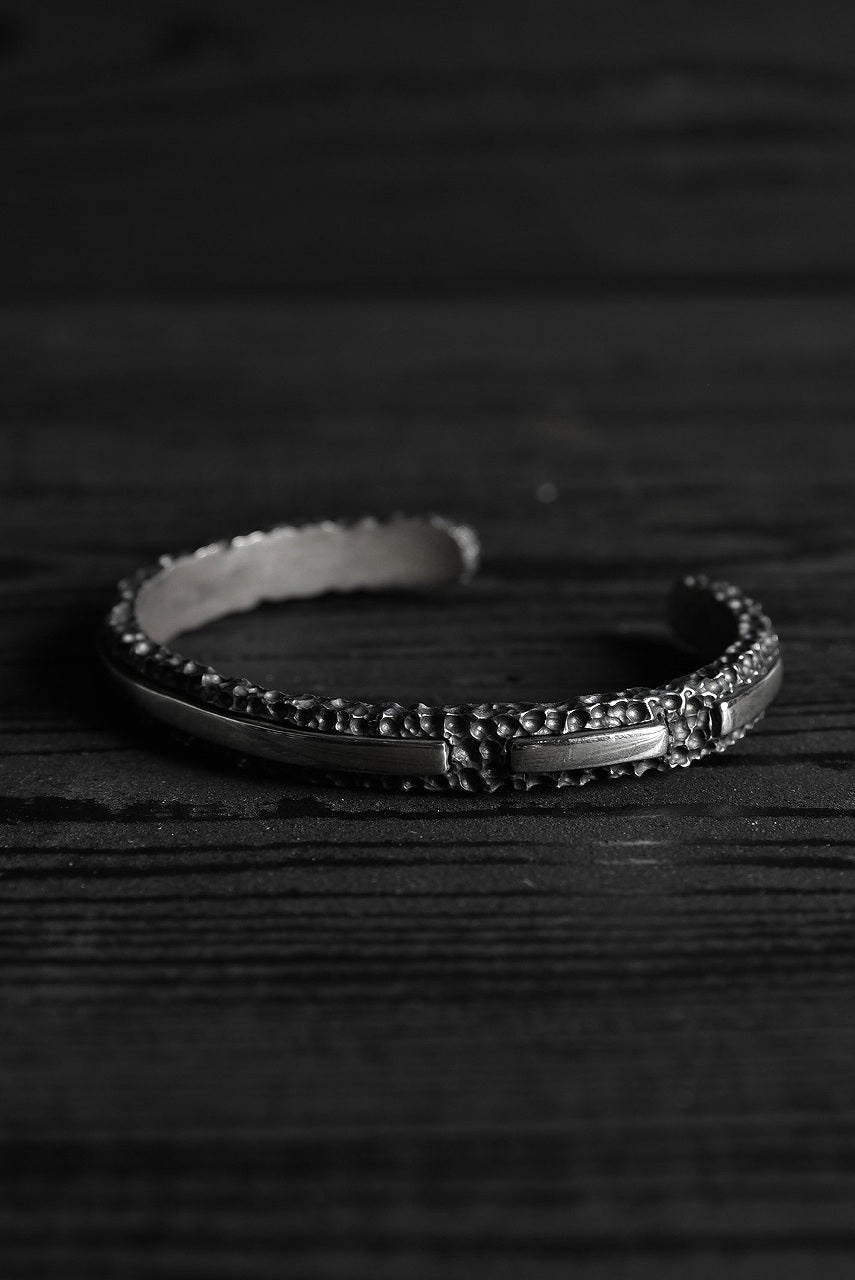 画像をギャラリービューアに読み込む, Node by KUDO SHUJI  BR-11 BANGLE