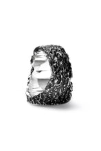 画像をギャラリービューアに読み込む, Node by KUDO SHUJI R-79 RING