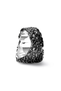 画像をギャラリービューアに読み込む, Node by KUDO SHUJI R-79 RING