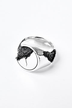 画像をギャラリービューアに読み込む, Node by KUDO SHUJI R-76 RING