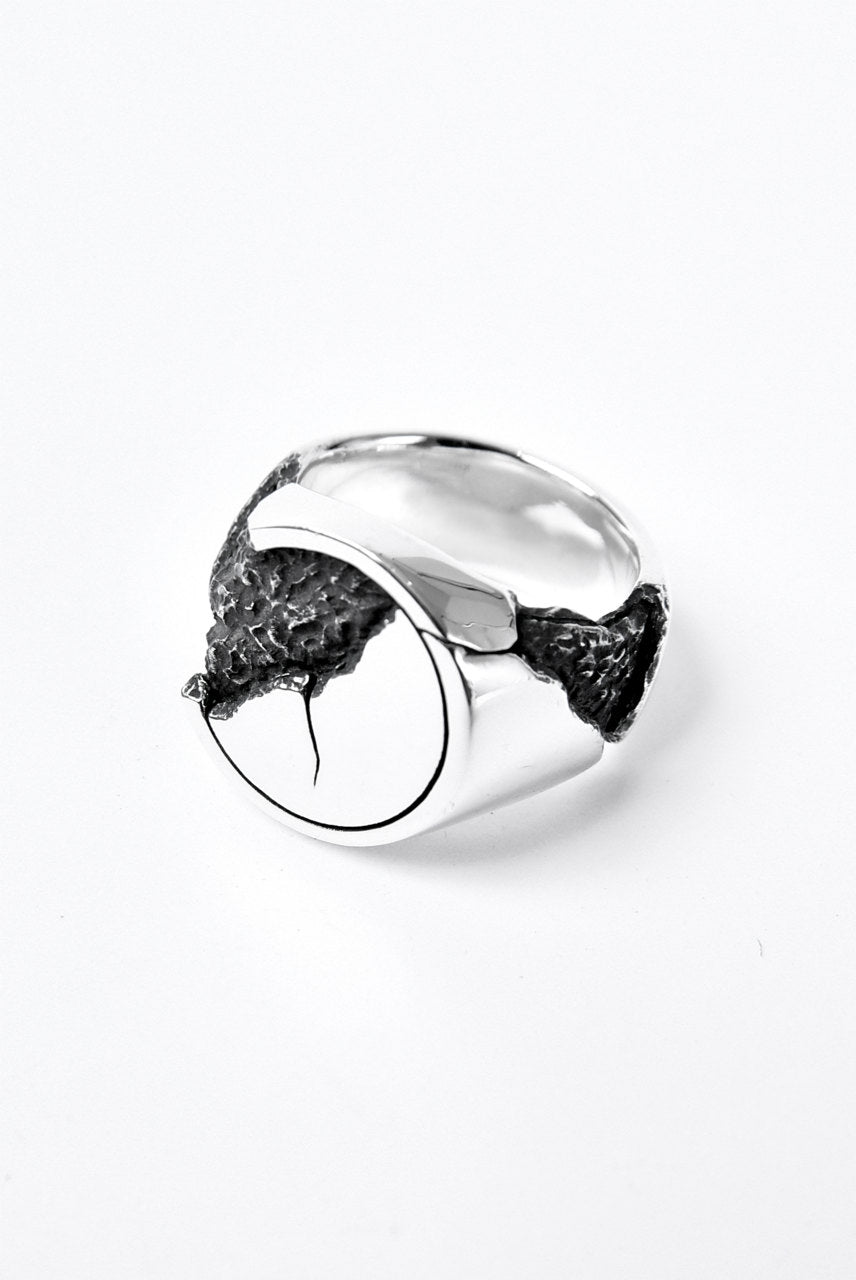 画像をギャラリービューアに読み込む, Node by KUDO SHUJI R-76 RING