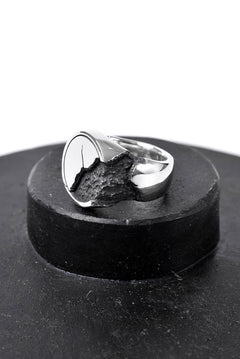 画像をギャラリービューアに読み込む, Node by KUDO SHUJI R-76 RING