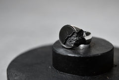 画像をギャラリービューアに読み込む, Node by KUDO SHUJI R-76 RING