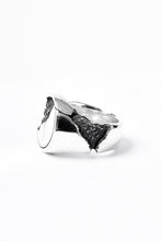 画像をギャラリービューアに読み込む, Node by KUDO SHUJI R-76 RING