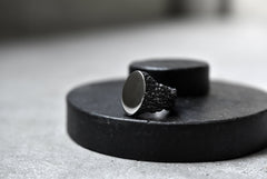 画像をギャラリービューアに読み込む, Node by KUDO SHUJI R-79 RING