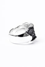画像をギャラリービューアに読み込む, Node by KUDO SHUJI R-76 RING