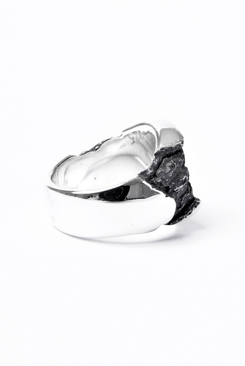 画像をギャラリービューアに読み込む, Node by KUDO SHUJI R-76 RING