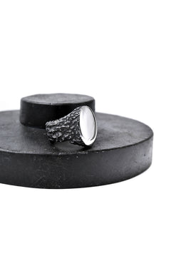 画像をギャラリービューアに読み込む, Node by KUDO SHUJI R-79 RING