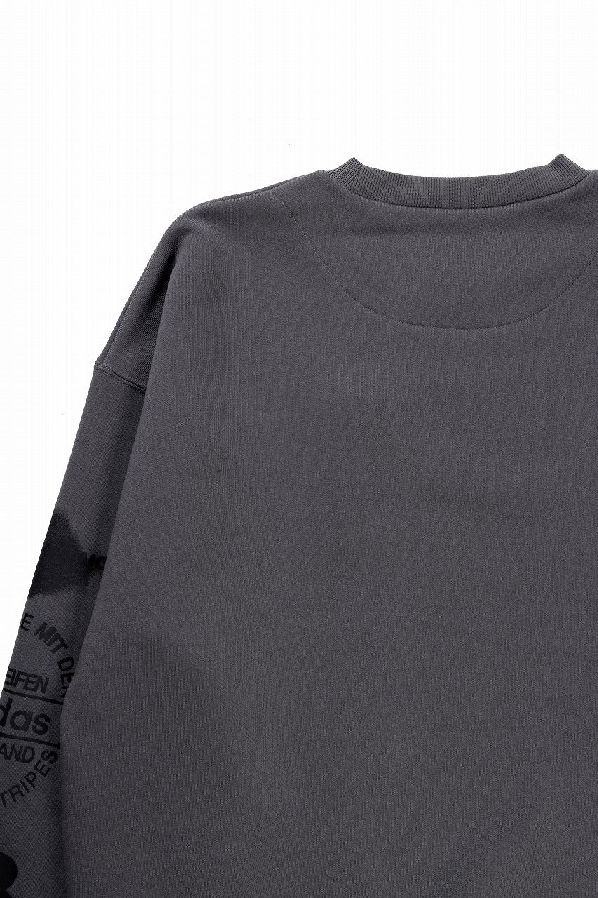 画像をギャラリービューアに読み込む, Y-3 Yohji Yamamoto GRAPHIC CREW SWEAT (GREY)