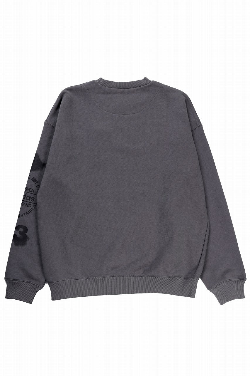 画像をギャラリービューアに読み込む, Y-3 Yohji Yamamoto GRAPHIC CREW SWEAT (GREY)