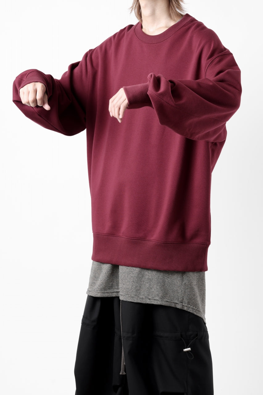 Load image into Gallery viewer, Y-3 Yohji Yamamoto CREW NECK SWEAT TOP / FRENCH TERRY (SHADOW RED)