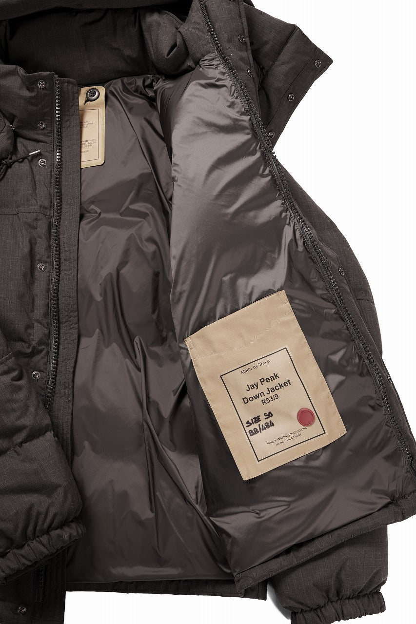 Load image into Gallery viewer, Ten c JAY PEAK DOWN JACKET (CAFE TURCO)