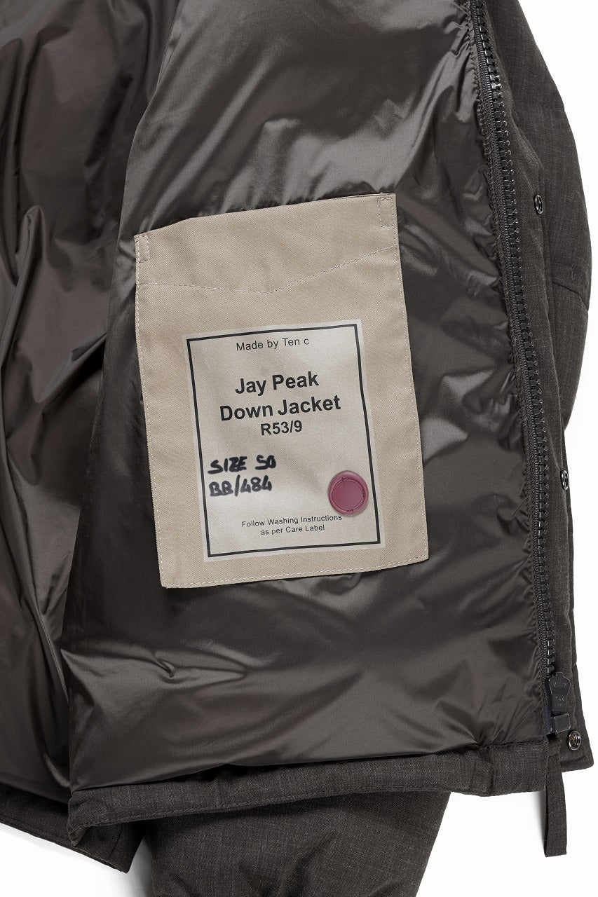 Load image into Gallery viewer, Ten c JAY PEAK DOWN JACKET (CAFE TURCO)