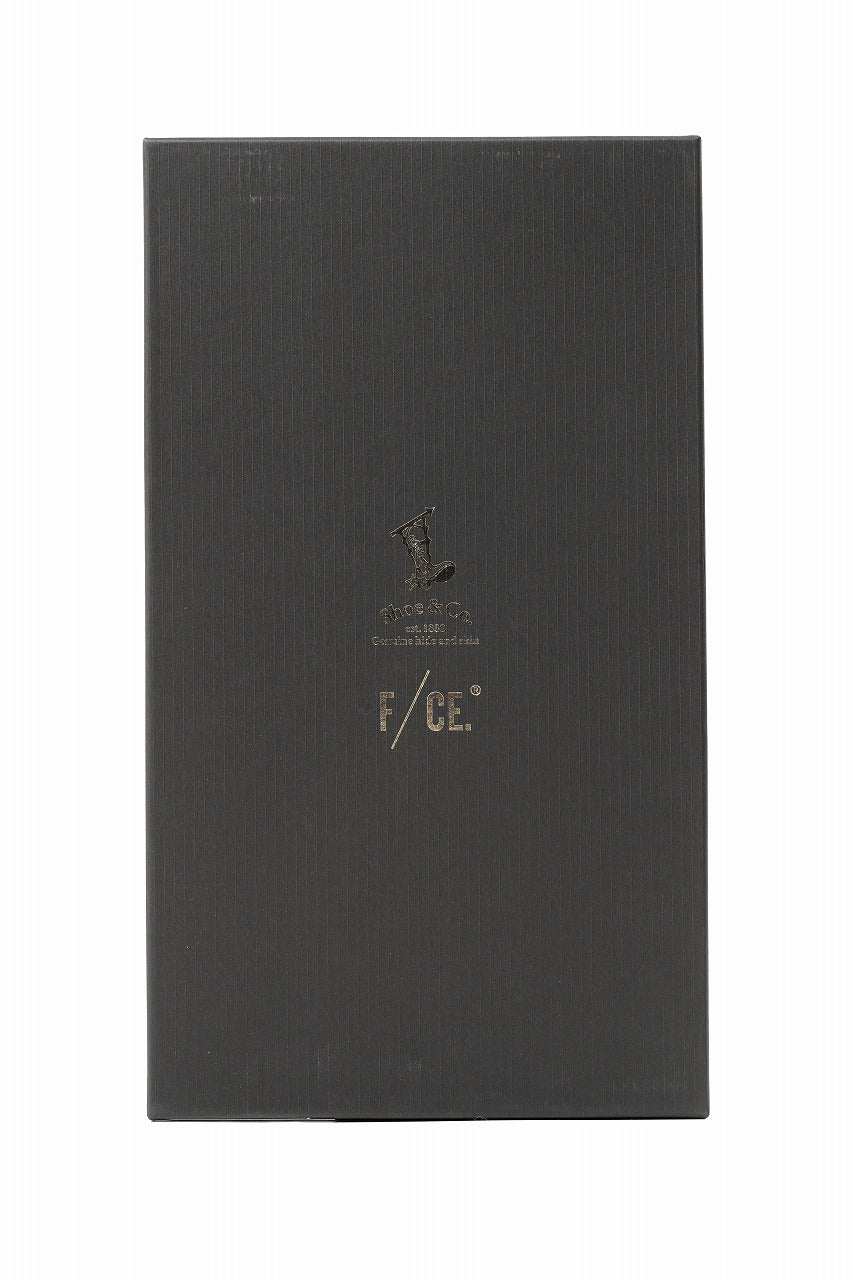 Load image into Gallery viewer, F/CE. GORETEX POSTMAN by REGAL (BLACK)
