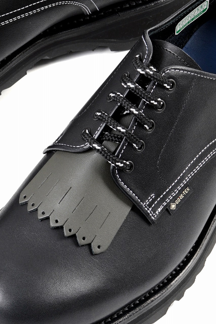 Load image into Gallery viewer, F/CE. GORETEX POSTMAN by REGAL (BLACK)