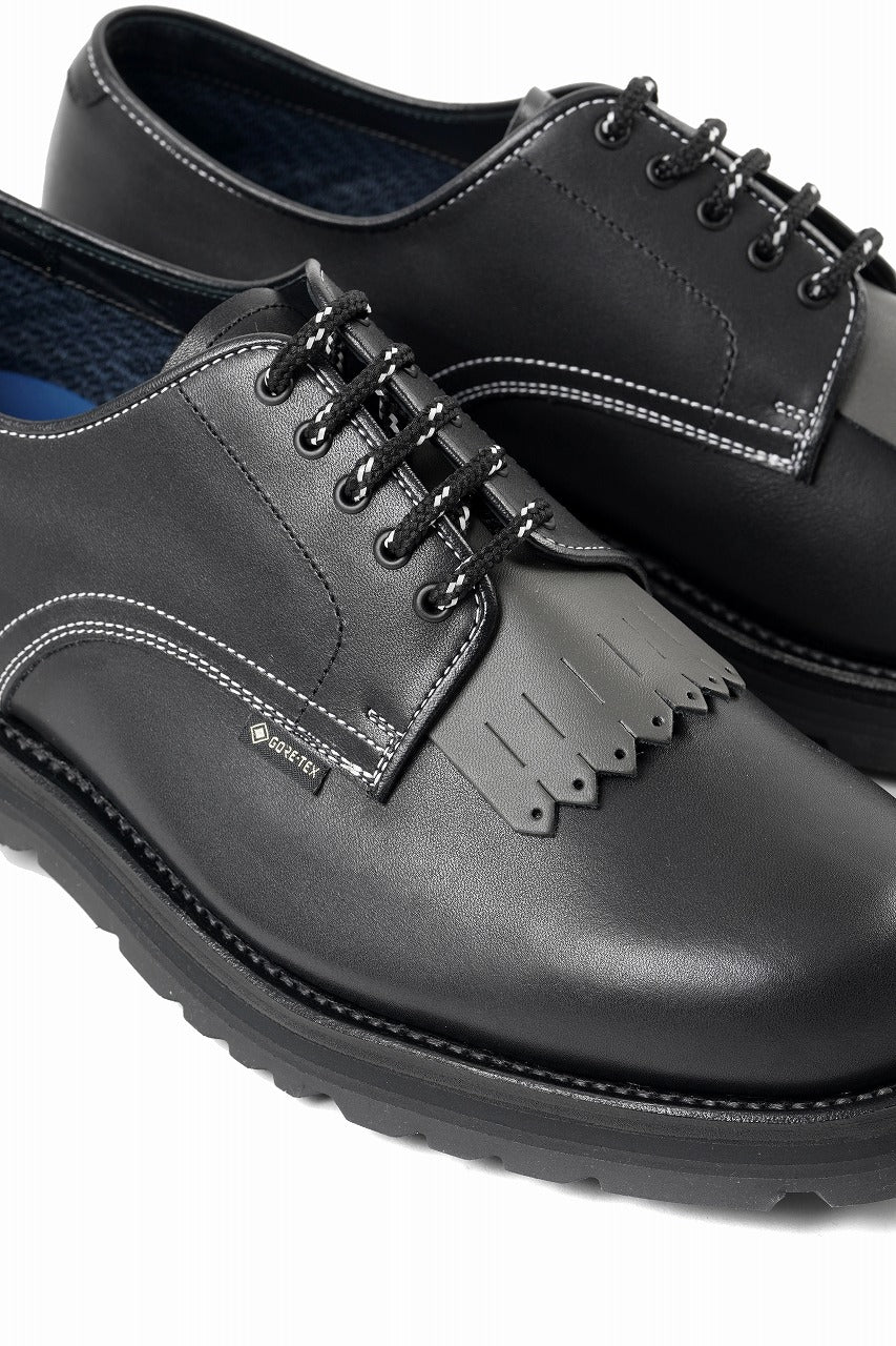 Load image into Gallery viewer, F/CE. GORETEX POSTMAN by REGAL (BLACK)