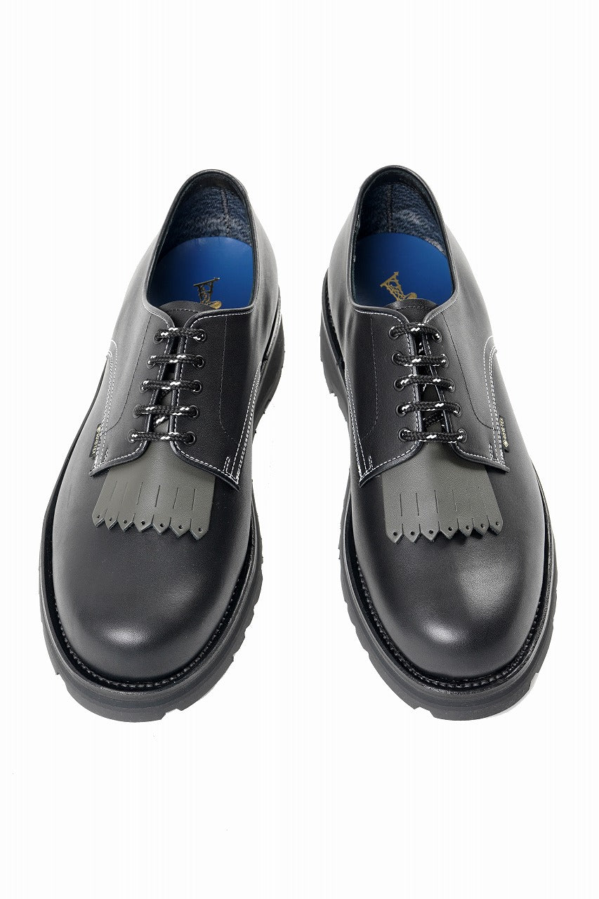 Load image into Gallery viewer, F/CE. GORETEX POSTMAN by REGAL (BLACK)