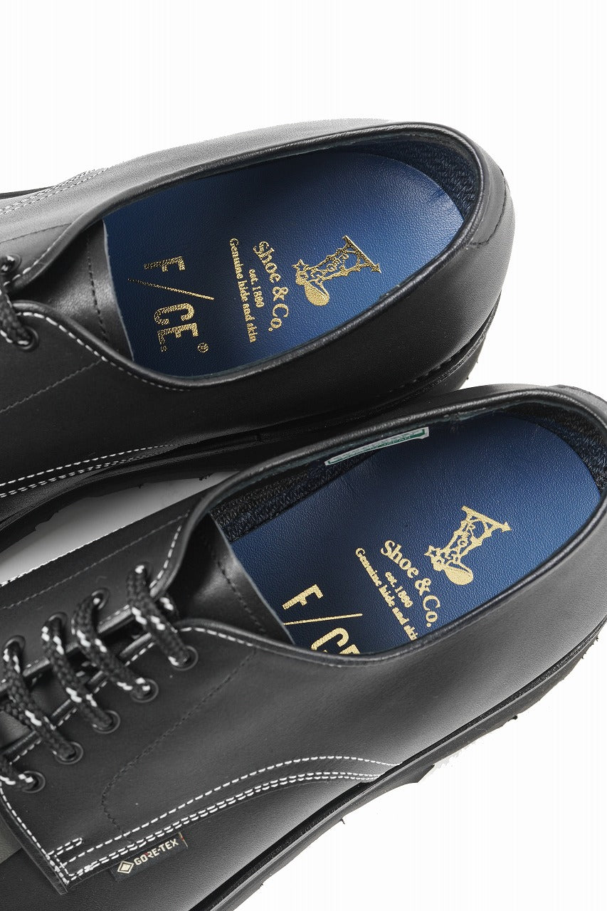 Load image into Gallery viewer, F/CE. GORETEX POSTMAN by REGAL (BLACK)