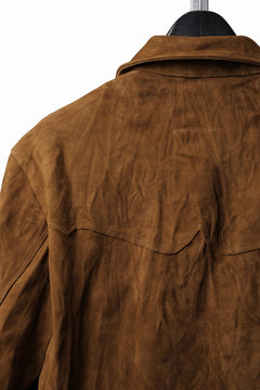 画像をギャラリービューアに読み込む, Professor.E SUEDE TRUCKER JACKET (BROWN)